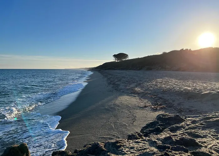 Jardin De La * Linguizzetta