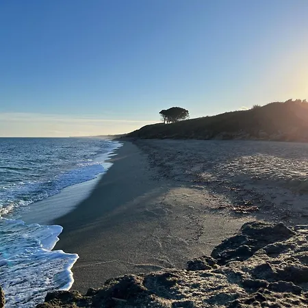 Jardin De La * Linguizzetta