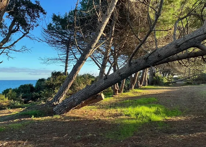 Jardin De La Appartement